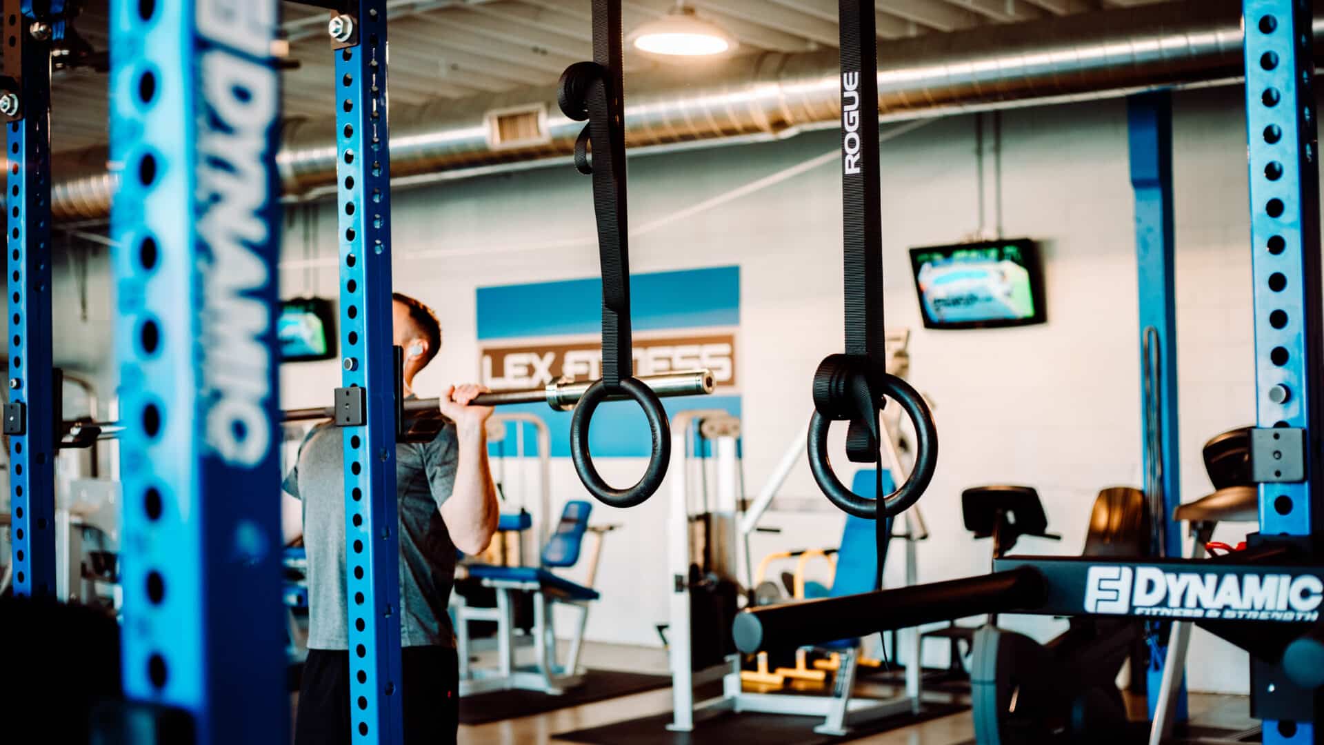 Lex Fitness - Image 4