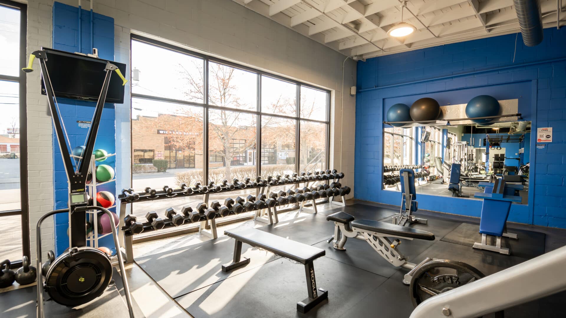 Lex Fitness - Image 5