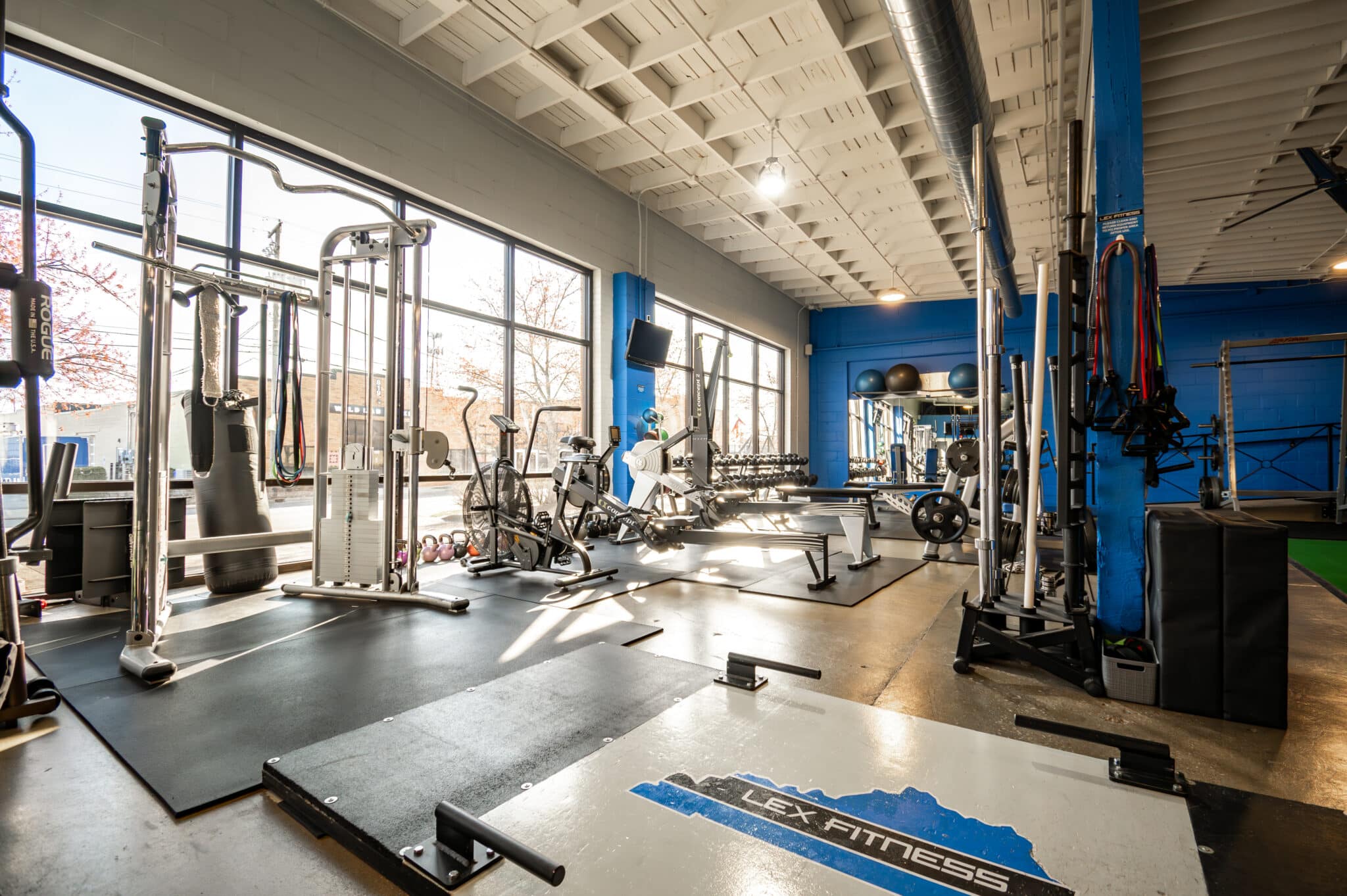 Lex Fitness